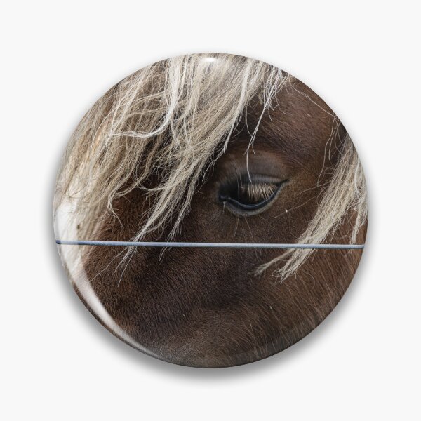 Artikelvorschau, Shetlandpony entworfen und verkauft von Marylou Badeaux.