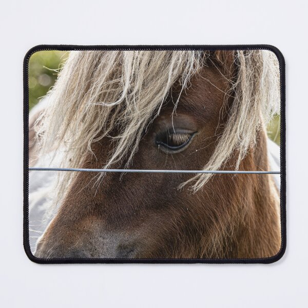 Item preview, Shetland Pony designed and sold by Marylou Badeaux.