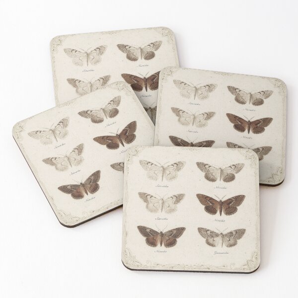 Item preview, Vintage Moth Specimen Study in Sepia designed and sold by PictorialWhimsy.