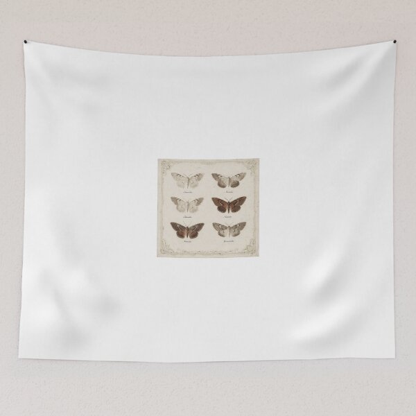 Item preview, Vintage Moth Specimen Study in Sepia designed and sold by PictorialWhimsy.