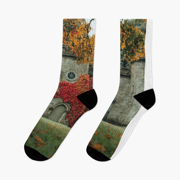 Item preview, Toronto Clairo aDowntown Dreams designed and sold by Alexewlow.
