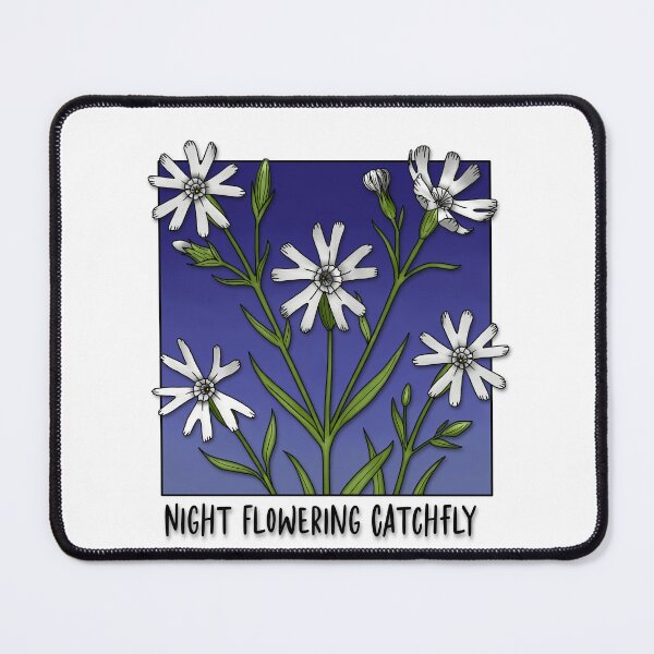 Item preview, Night Flowering Catchfly designed and sold by paperandp!xels.