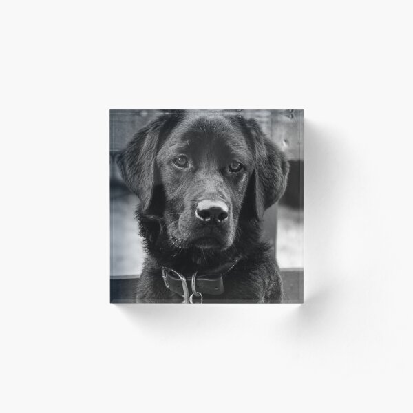 Peggy Acrylic Block