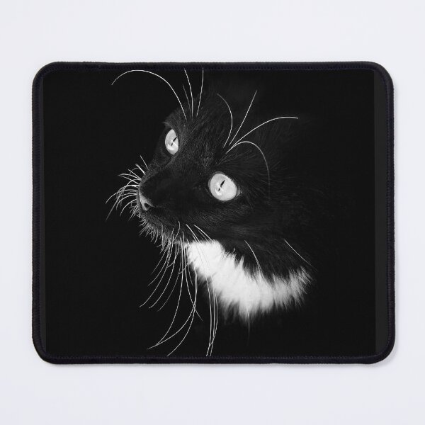 Item preview, Black Cat designed and sold by carol brandt.