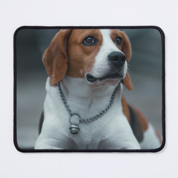 Item preview, Cute Beagle Puppy Lying Down Close-Up designed and sold by VanGaldo.