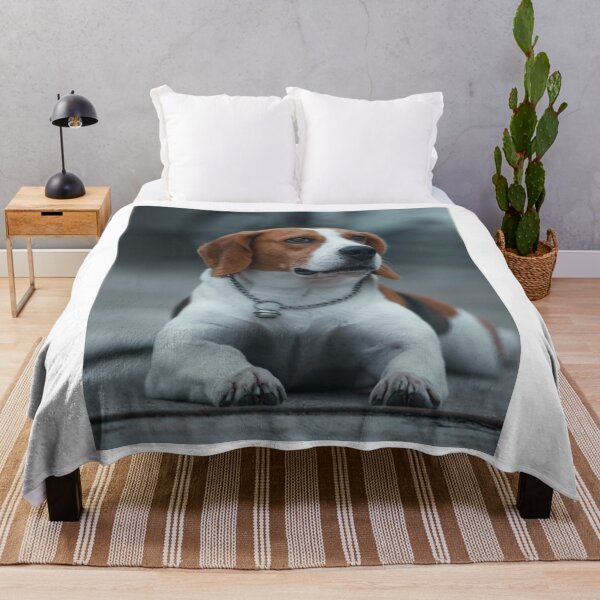 Item preview, Cute Beagle Puppy Lying Down Close-Up designed and sold by VanGaldo.