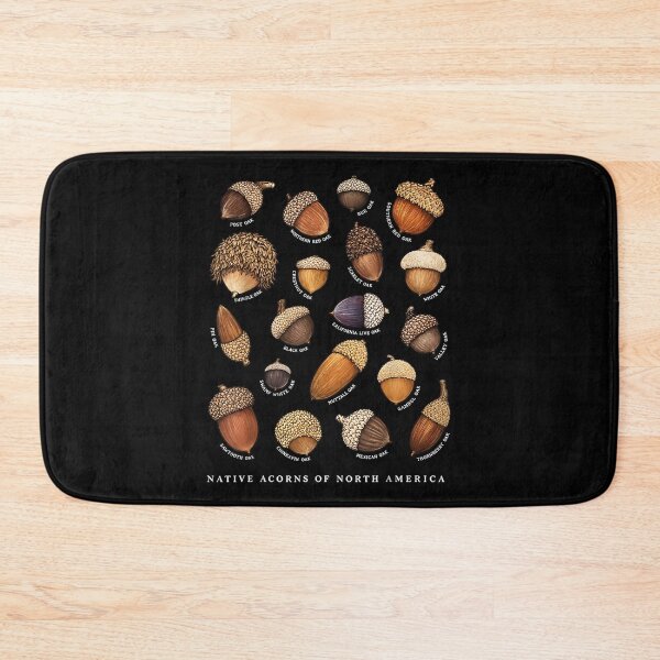 Item preview, Native Acorns of North America Tree Botanical Identification designed and sold by Capisedo.