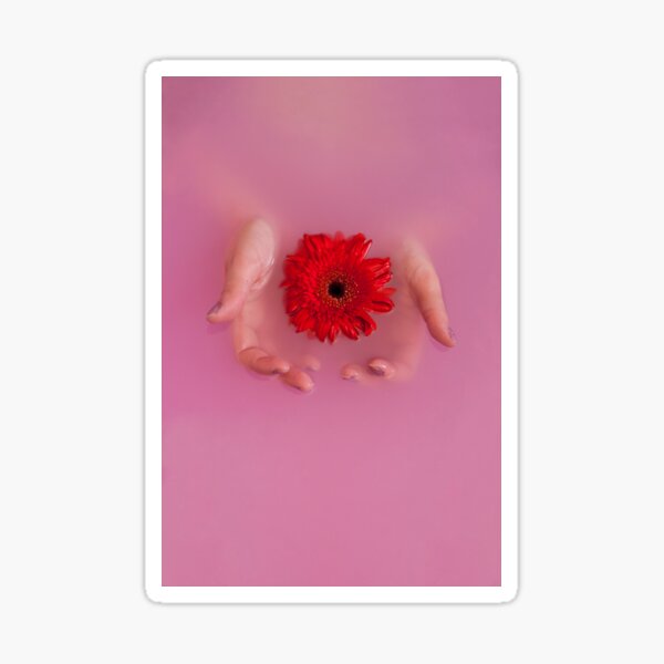 pink flower water Sticker