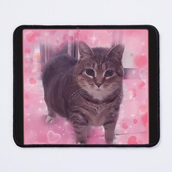 Item preview, Microplastics In Body Funny Cat Meme designed and sold by boumiyahamoud6.