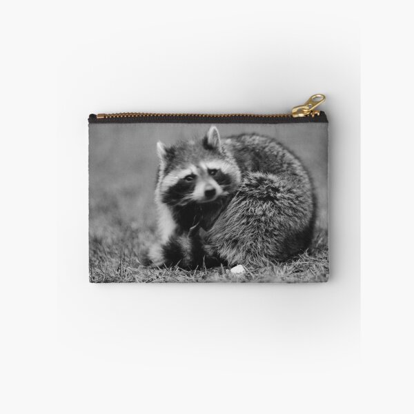 Item preview, Raccoon photo by Harris & Ewing (public domain photo, Library of Congress) designed and sold by Amanda1775.