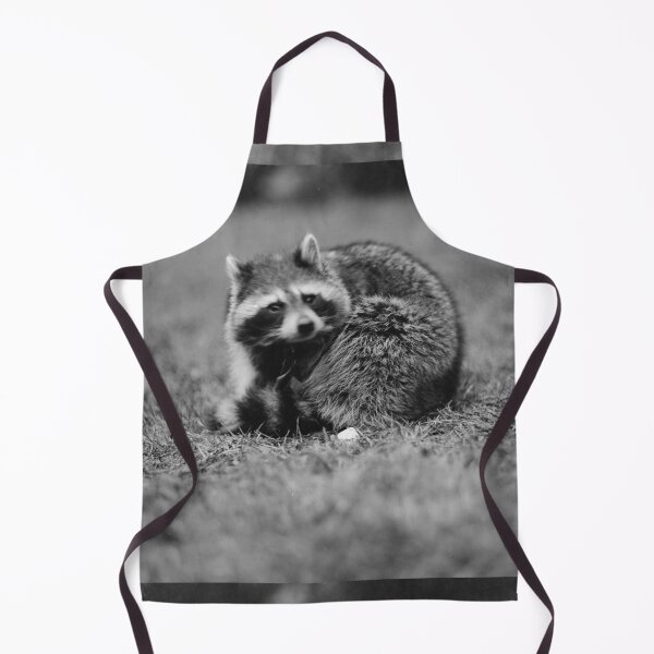 Item preview, Raccoon photo by Harris & Ewing (public domain photo, Library of Congress) designed and sold by Amanda1775.