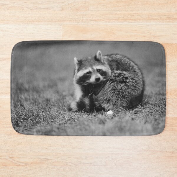 Item preview, Raccoon photo by Harris & Ewing (public domain photo, Library of Congress) designed and sold by Amanda1775.