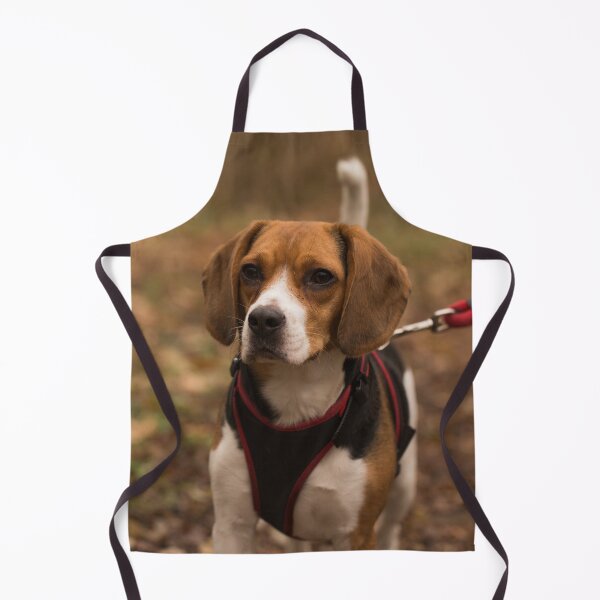 Item preview, Tricolor Beagle Dog Wearing Red Harness designed and sold by VanGaldo.