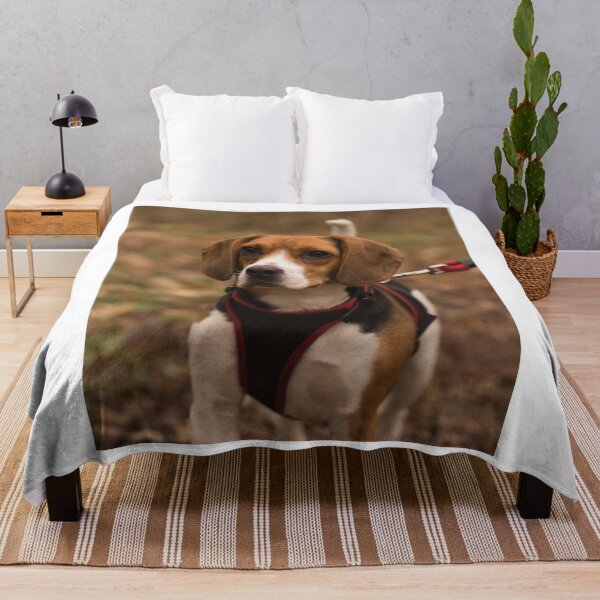 Item preview, Tricolor Beagle Dog Wearing Red Harness designed and sold by VanGaldo.