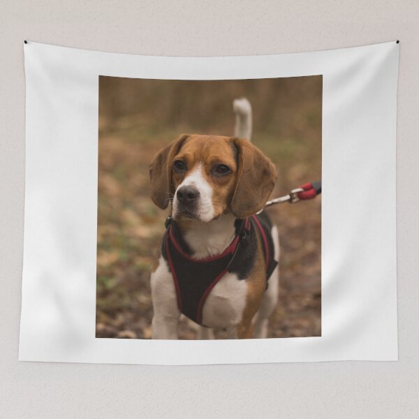 Item preview, Tricolor Beagle Dog Wearing Red Harness designed and sold by VanGaldo.