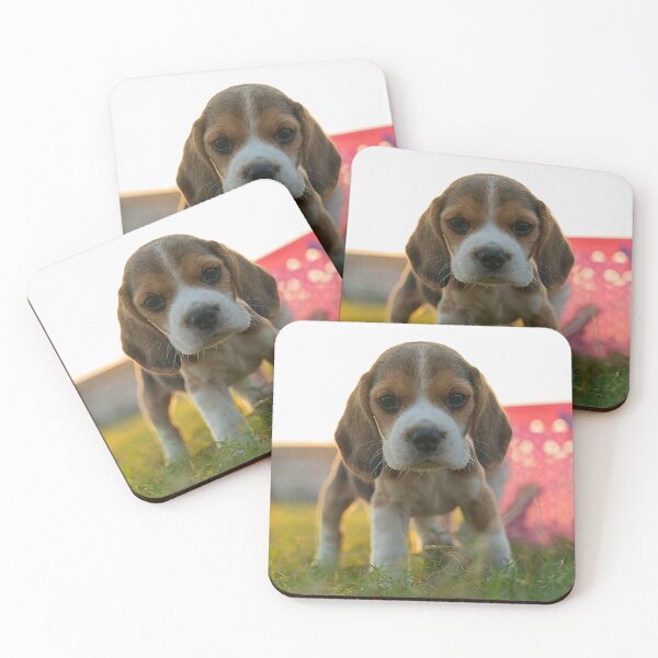 Item preview, Cute Beagle Puppy Standing In Grass designed and sold by VanGaldo.