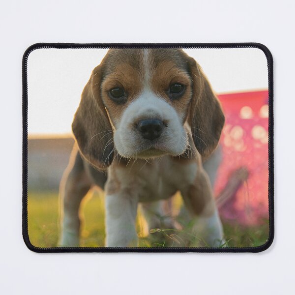 Item preview, Cute Beagle Puppy Standing In Grass designed and sold by VanGaldo.