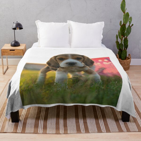Item preview, Cute Beagle Puppy Standing In Grass designed and sold by VanGaldo.