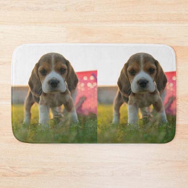 Item preview, Cute Beagle Puppy Standing In Grass designed and sold by VanGaldo.