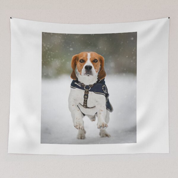 Artikelvorschau, Lustiger Beagle rennt im Winterschnee entworfen und verkauft von VanGaldo.