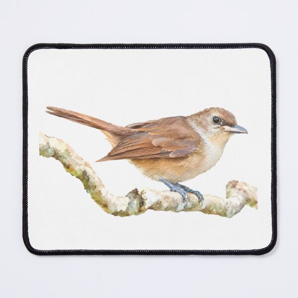 Item preview, Fiji Goshawk (Accipiter rufitorques) designed and sold by HOMETOWN86.