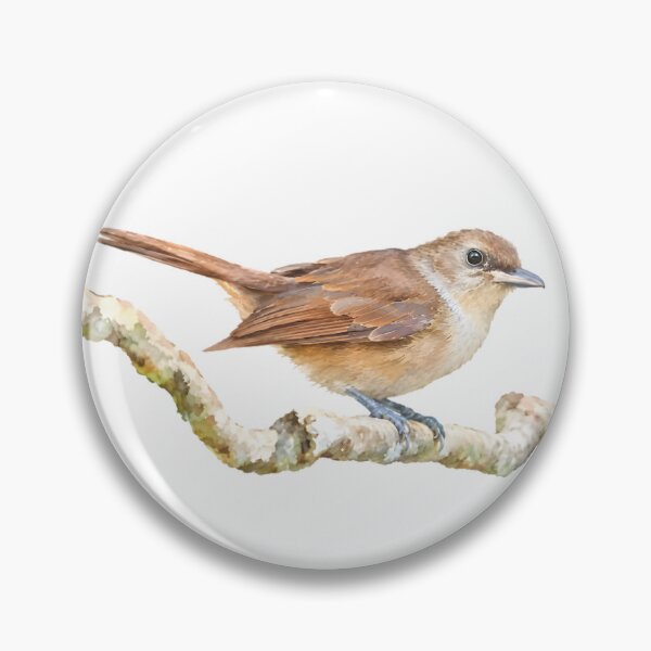 Item preview, Fiji Goshawk (Accipiter rufitorques) designed and sold by HOMETOWN86.