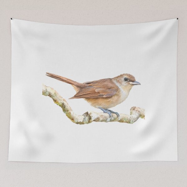 Item preview, Fiji Goshawk (Accipiter rufitorques) designed and sold by HOMETOWN86.