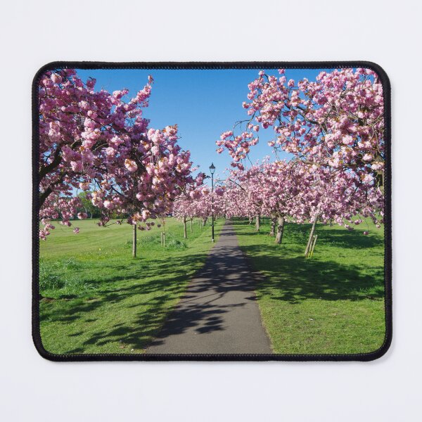 Item preview, The Stray Harrogate designed and sold by Alisonchambers2.