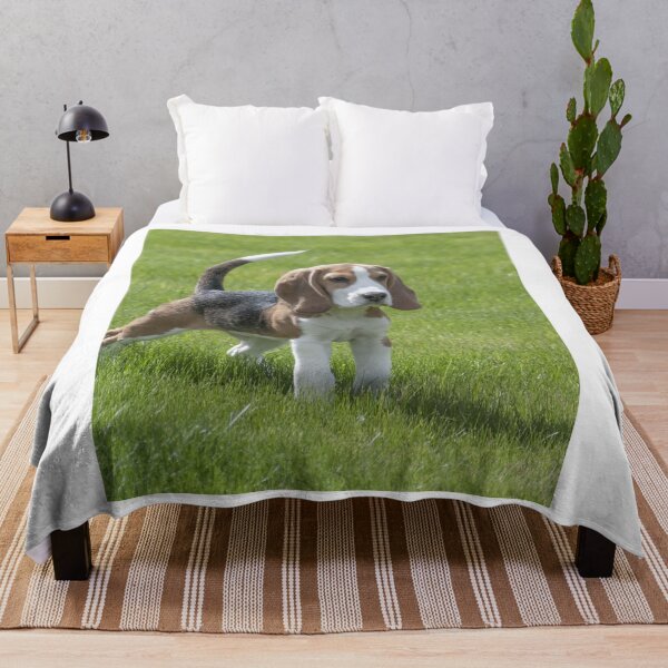 Item preview, Tricolor Beagle Puppy Standing In Grass designed and sold by VanGaldo.
