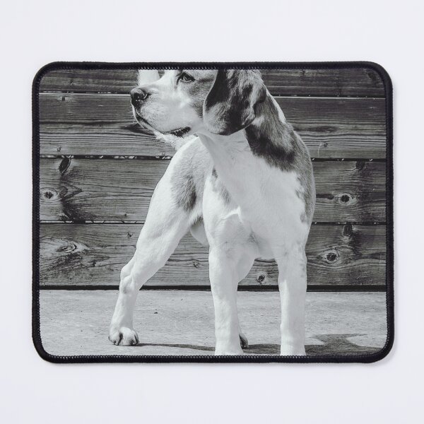 Item preview, Black and White Beagle Dog Portrait designed and sold by VanGaldo.