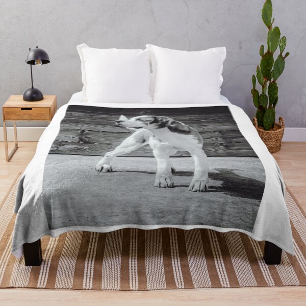 Item preview, Black and White Beagle Dog Portrait designed and sold by VanGaldo.