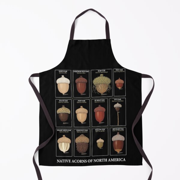 Item preview, Native Acorns of North America Tree Acorn Botanical Identification designed and sold by CF_VintageDesign.