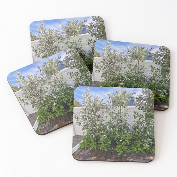 Item preview, Sophisticated Acrylic Wall Display designed and sold by jepnmea.