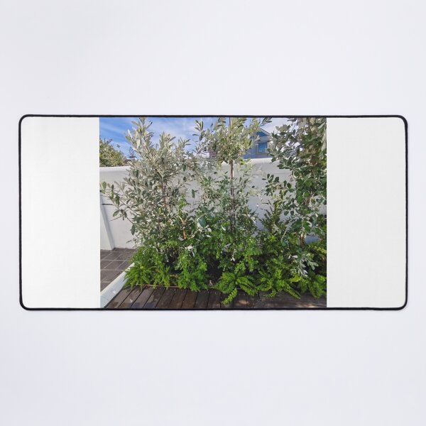 Item preview, Sophisticated Acrylic Wall Display designed and sold by jepnmea.