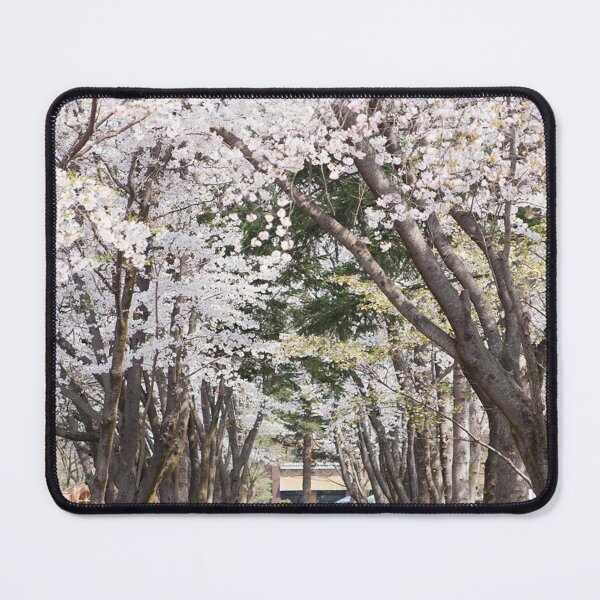 Item preview, Contemporary Acrylic Wall Alcove designed and sold by jepnmea.