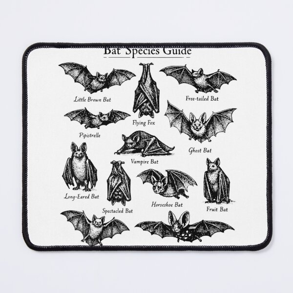 Item preview, Bat Species Guide Spooky Season Trick Or Treat Halloween T-Shirt designed and sold by elachhabdesign.