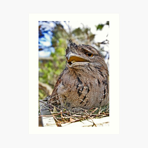 My nest Art Print