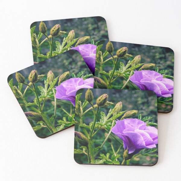 Item preview, Purple Hibiscus in Bloom designed and sold by wendyhattonphotography.