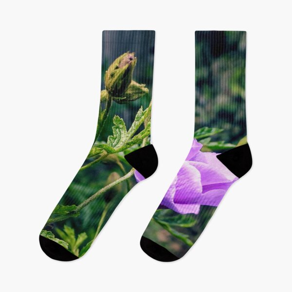 Item preview, Purple Hibiscus in Bloom designed and sold by wendyhattonphotography.