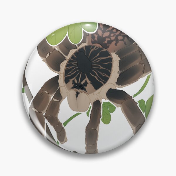 Item preview, Ceratogyrus marshalli designed and sold by the8thpage.