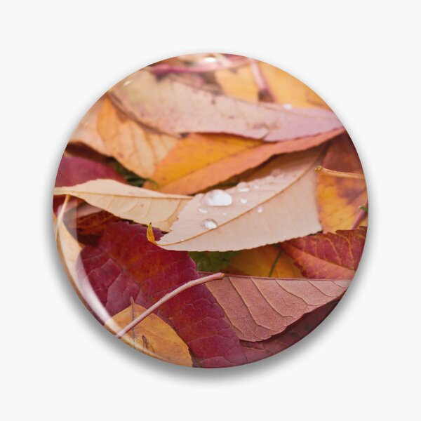 Item preview, Resting rain drop designed and sold by Rod Raglin.
