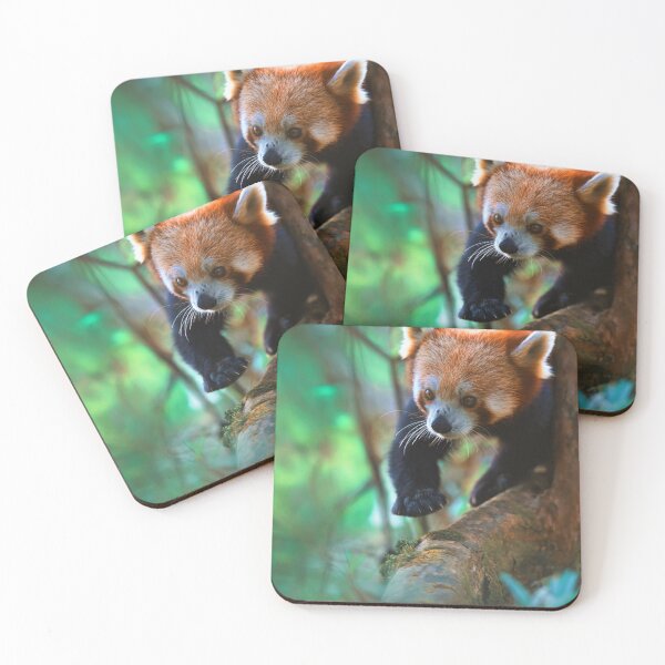 Item preview, Local Business Love designed and sold by mviaisay.