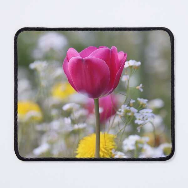 Item preview, Pink Tulip in Spring Garden – Elegant Floral Nature Photography designed and sold by shiseikizen.