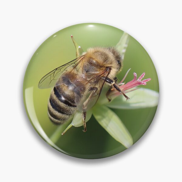 Item preview, Honey Bee on Green Flower – Macro Pollinator Photography designed and sold by shiseikizen.