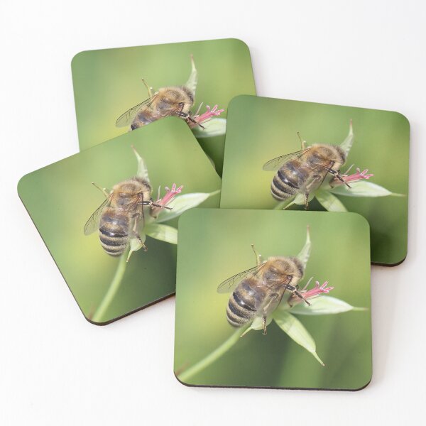 Item preview, Honey Bee on Green Flower – Macro Pollinator Photography designed and sold by shiseikizen.