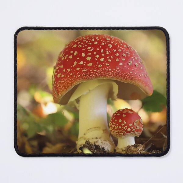 Item preview, Red Fly Agaric Mushroom – Enchanted Forest Nature Photography designed and sold by shiseikizen.