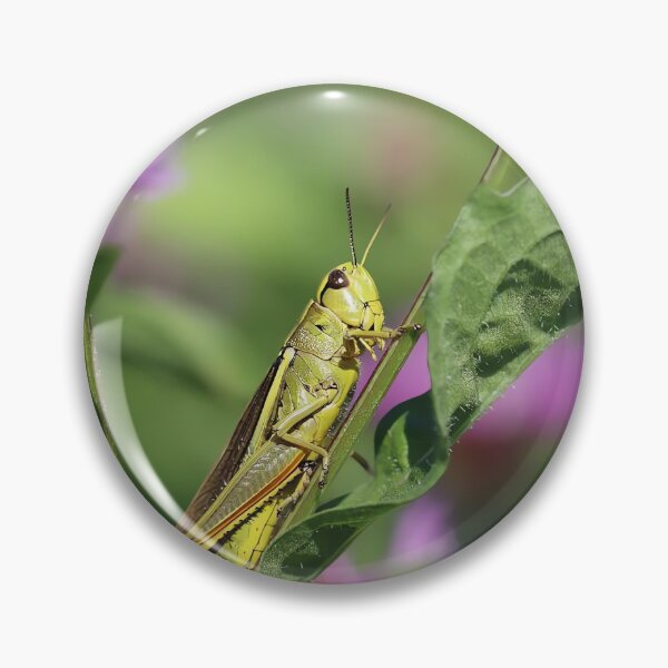 Item preview, Tiny Bee on Wildflower – Macro Nature Photography designed and sold by shiseikizen.
