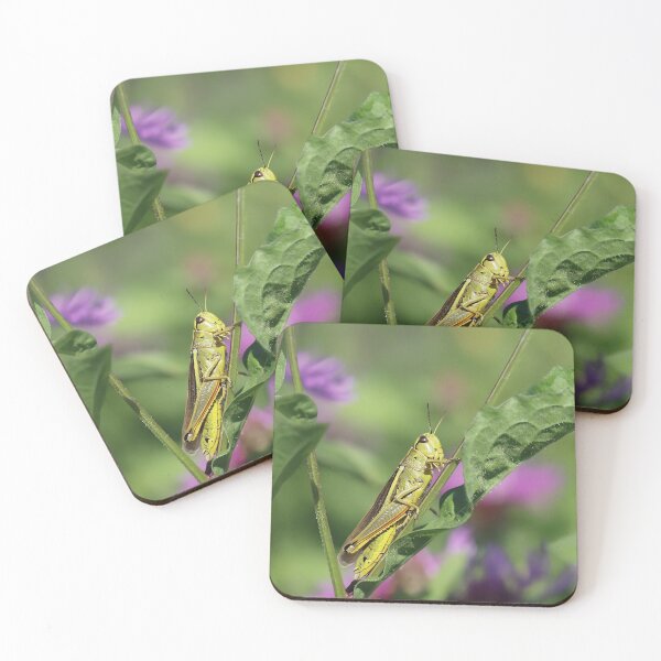 Item preview, Tiny Bee on Wildflower – Macro Nature Photography designed and sold by shiseikizen.