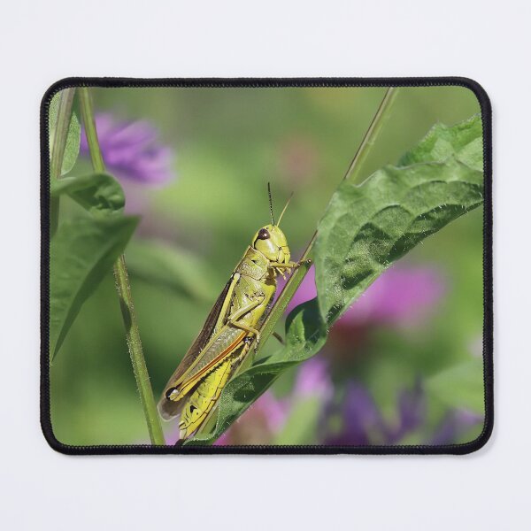 Item preview, Tiny Bee on Wildflower – Macro Nature Photography designed and sold by shiseikizen.
