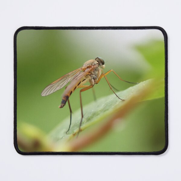 Item preview, Mosquito on Grass – Macro Insect Nature Photography designed and sold by shiseikizen.